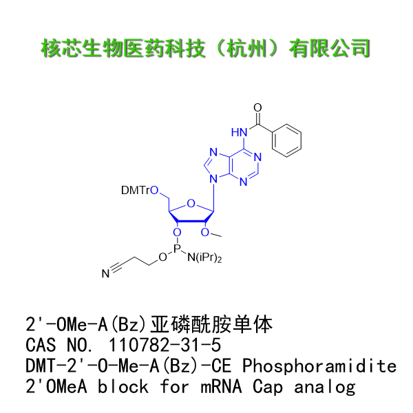 2'-OMe-A(Bz)亚磷酰胺单体 产品图片