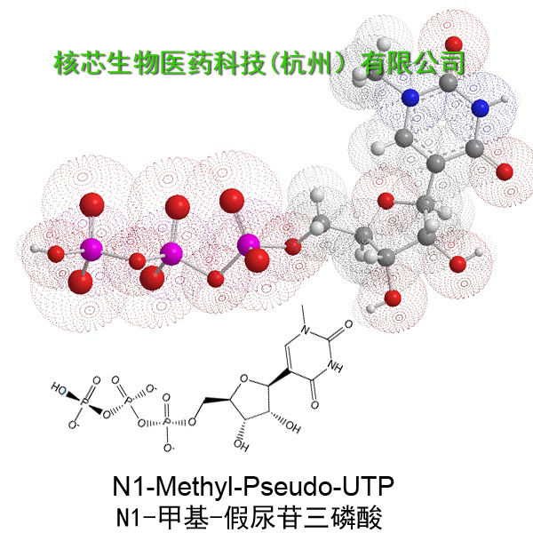 N1-甲基-假尿苷三磷酸钠 产品图片