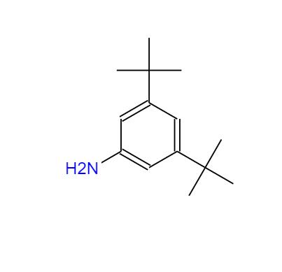 3,5-二叔丁基苯胺 产品图片