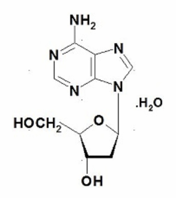 2’-脱氧腺苷一水合物 产品图片