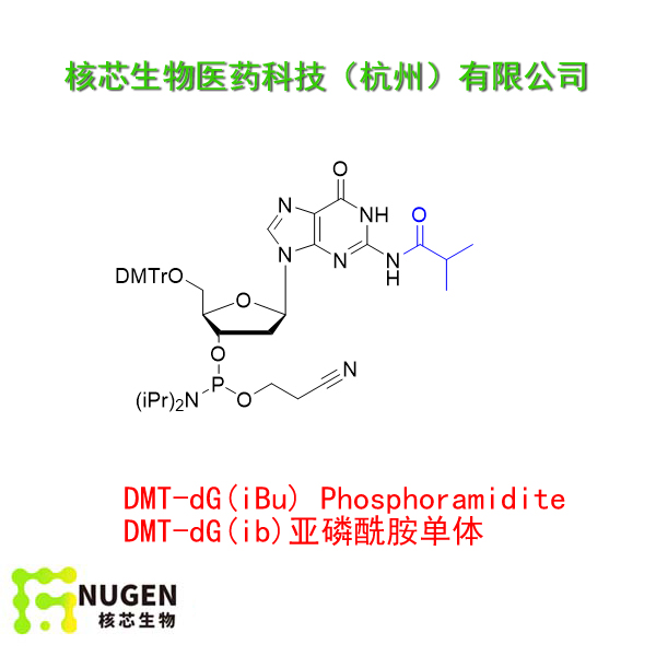 DMT-dG(ib)亚磷酰胺单体  工厂大货 产品图片