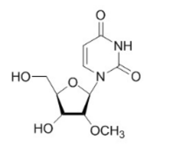 2'-甲氧基尿苷 产品图片