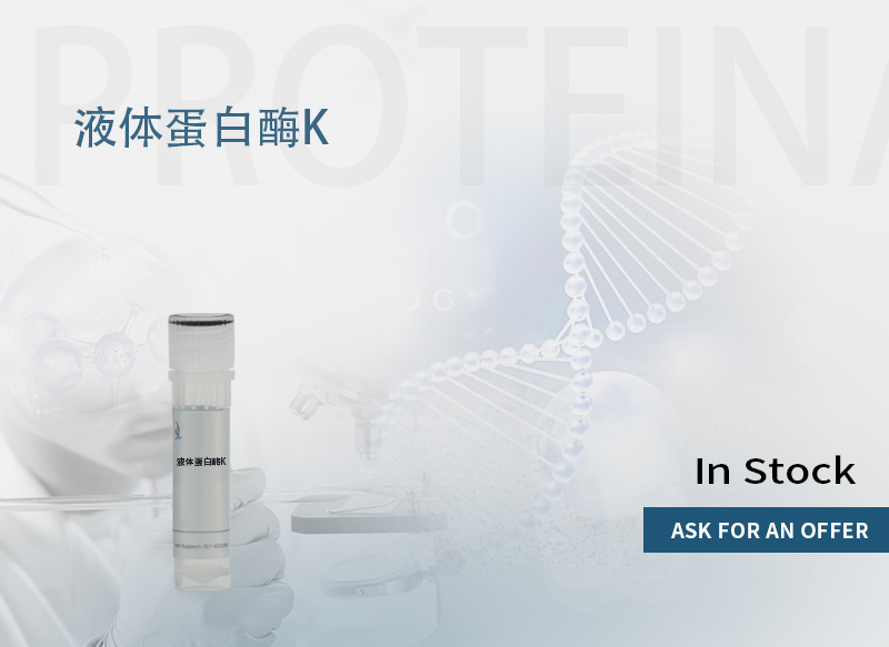 蛋白酶k 产品图片