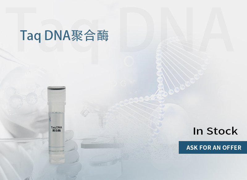 Taq DNA聚合酶 产品图片