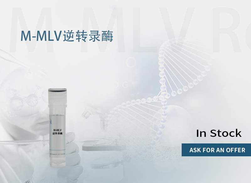 M-MLV 逆转录酶 产品图片