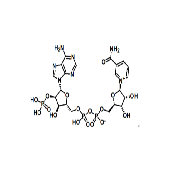 β-烟酰胺腺嘌呤二核苷酸磷酸 产品图片