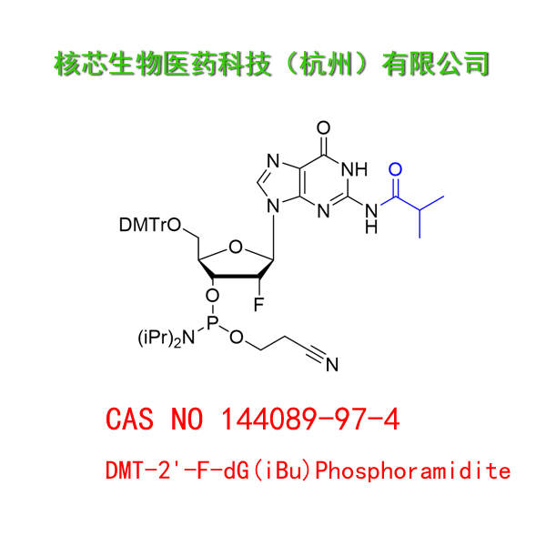 DMT-2'-F-dG(iBu) Phosphoramidite 工厂大货 产品图片