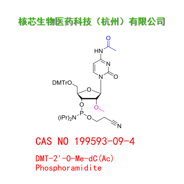 DMT-2'-O-Me-dC(Ac) Phosphoramidite 工厂大货 产品图片
