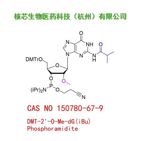 DMT-2'-O-Me-dG(iBu) Phosphoramidite  工厂大货 产品图片