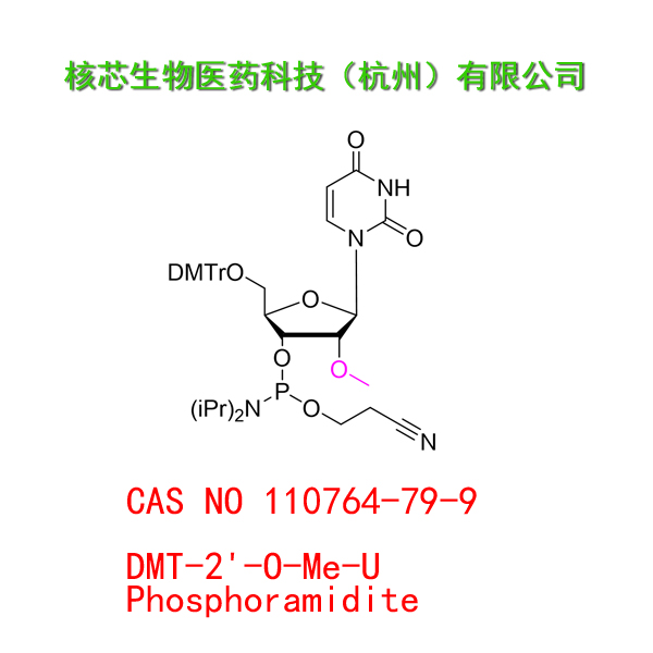 DMT-2'-O-Me-U Phosphoramidite  工厂大货 产品图片