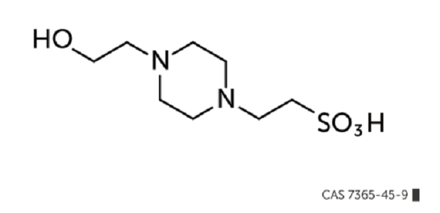 4-羟乙基哌嗪乙磺酸 产品图片