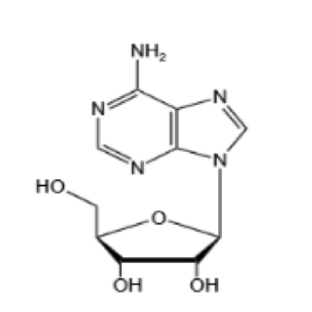 腺苷（Ar）| 58-61-7 | 杭州美亚药业 产品图片