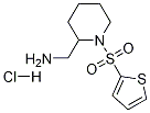 C-[1-(Thiophene-2-sulfonyl)-piperidin-2-yl]-methylamine hydrochloride