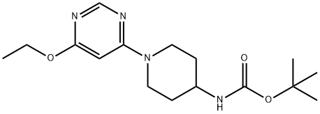 [1-(6-Ethoxy-pyriMidin-4-yl)-piperidin-4-yl]-carbaMic acid tert-butyl ester|[1-(6-乙氧基-嘧啶-4-基)-哌啶-4-基]-氨基甲酸叔丁基酯