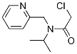 2-クロロ-N-イソプロピル-N-ピリジン-2-イルメチルアセトアミド 化学構造式