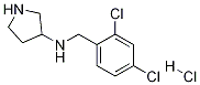 (2,4-二氯-苄基)-吡咯烷-3-基-胺盐酸盐 结构式