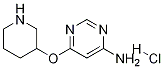 6-(Piperidin-3-yloxy)-pyriMidin-4-ylaMine hydrochloride Structure