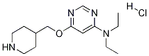 二乙基-[6-(哌啶-4-基甲氧基)-嘧啶-4-基]-胺盐酸盐 结构式