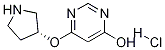 6-((R)-Pyrrolidin-3-yloxy)-pyriMidin-4-ol hydrochloride|6-((R)-吡咯烷-3-基氧基)-嘧啶-4-醇盐酸盐