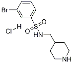 3-溴-N-哌啶-4-基甲基-苯磺酰胺盐酸盐, 1353952-00-7, 结构式