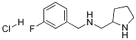(3-氟-苄基)-吡咯烷-2-基甲基-胺盐酸盐
