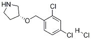(R)-3-(2,4-Dichloro-benzyloxy)-pyrrolidine hydrochloride|(R)-3-(2,4-二氯-苄氧基)-吡咯烷盐酸盐