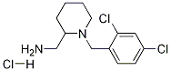 C-[1-(2,4-二氯-苄基)-哌啶-2-基]甲胺盐酸盐 结构式