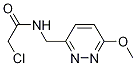 2-Chloro-N-(6-Methoxy-pyridazin-3-ylMethyl)-acetaMide,1353984-82-3,结构式