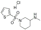 Methyl-[1-(thiophene-2-sulfonyl)-piperidin-3-yl]-amine hydrochloride|甲基-[1-(噻吩-2-磺酰基)-哌啶-3-基]-胺盐酸盐