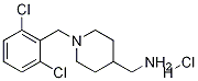 [1-(2,6-Dichloro-benzyl)-piperidin-4-yl]-methyl-amine hydrochloride
