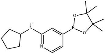 2-(环戊基)-氨基-4-硼酸, 1346808-54-5, 结构式