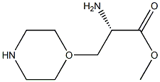 3-(1-MORPHOLINYL)-L-ALANINE METHYL ESTER, , 结构式