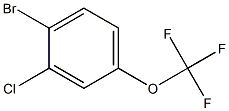  3-氯-4-溴三氟甲氧基苯