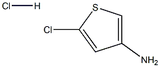 3-AMino-5-chlorothiophene hydrochloride Struktur
