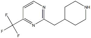 2-Piperidin-4-ylMethyl-4-trifluoroMethyl-pyriMidine|