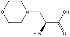 (S)-2-AMINO-3-MORPHOLINOPROPANOIC ACID, 1931924-34-3, 结构式