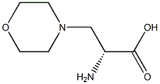 (R)-2-AMINO-3-MORPHOLINOPROPANOIC ACID, 2044710-94-1, 结构式