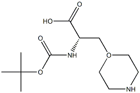 BOC-3-(1-MORPHOLINYL)-L-ALANINE,,结构式