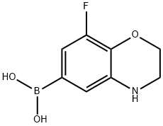 8-Fluoro-2,3-dihydro-1,4-benzoxazine-6-boronic acid Struktur