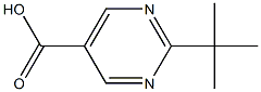 2-tert-butylpyriMidine-5-carboxylic acid Struktur