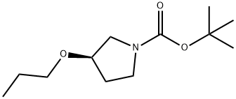1-BOC-(R)-3-(N-PROPOXY)PYRROLIDINE Struktur