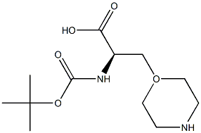 Boc-3-(1-Morpholinyl)-D-alanine Struktur