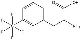 3-(五氟硫代)-DL-苯丙氨酸,97%,,结构式