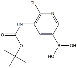 5-(t-Butoxycarbonylamino)-6-chloropyridine-3-boronic acid 结构式
