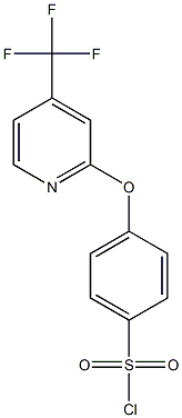 4-(4-TrifluoroMethyl-2-pyridyloxy)benzenesulfonyl chloride, 95% 化学構造式