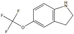 5-TrifluoroMethoxy-2,3-dihydro-1H-indole Struktur