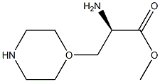 3-(1-Morpholinyl)-D-alanine Methyl ester Structure