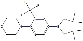 4-(5-(4,4,5,5-tetraMethyl-1,3,2-dioxaborolan-2-yl)-3-(trifluoroMethyl)pyridin-2-yl)Morpholine Struktur