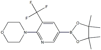 4-(5-(4,4,5,5-tetraMethyl-1,3,2-dioxaborolan-2-yl)-3-(trifluoroMethyl)pyridin-2-yl)Morpholine