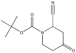 tert-butyl 2-cyano-4-oxopiperidine-1-carboxylate Struktur